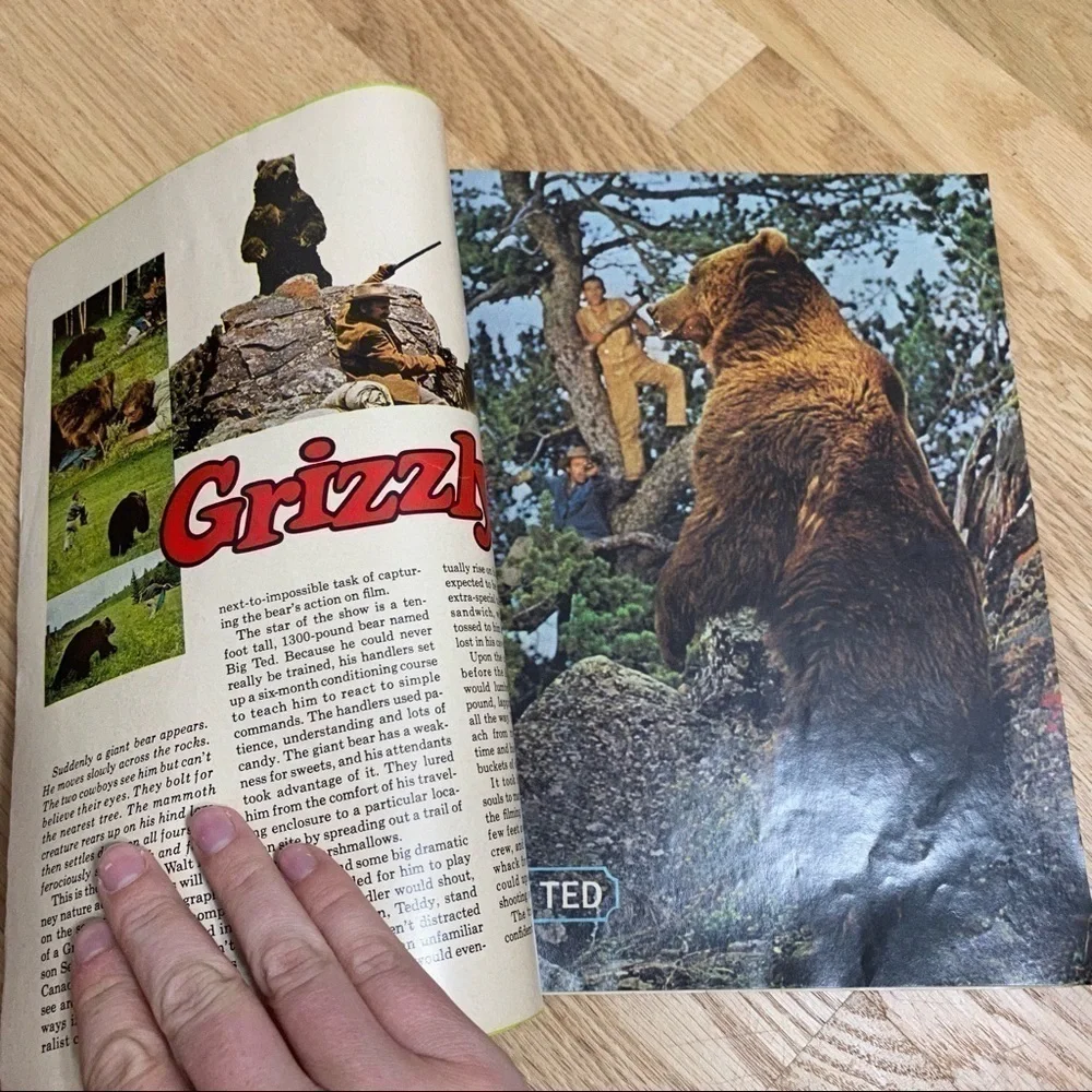 Vintage Wonderful World of Disney Magazine Grizzly Bear Winnie the Pooh